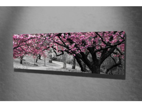 WALLXPERT Dekorativna slika PC017