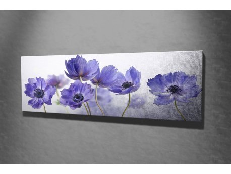 WALLXPERT Dekorativna slika PC028