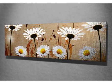 WALLXPERT Dekorativna slika PC042
