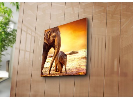 WALLXPERT Dekorativna slika 4545K 28