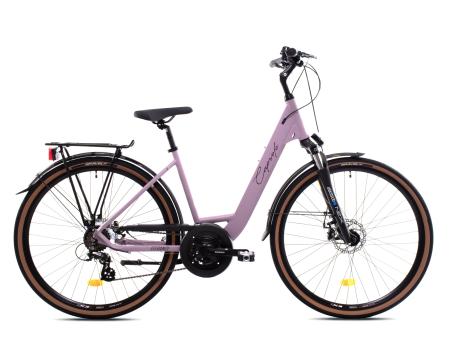 CAPRIOLO TOUR-ELEGANCE L 28''/14AL ljubičasta 926653-18