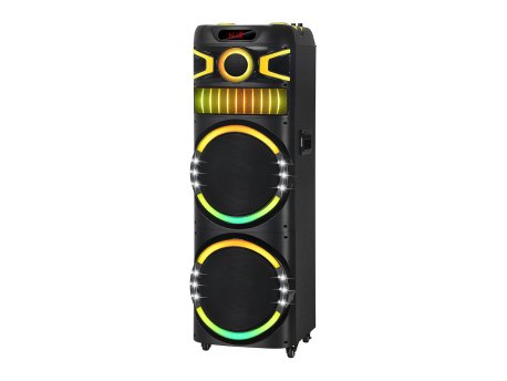 N/A Zvucnik bluetooth NDR-M22003 100W 2*12 inca sa dva mikrofona crni