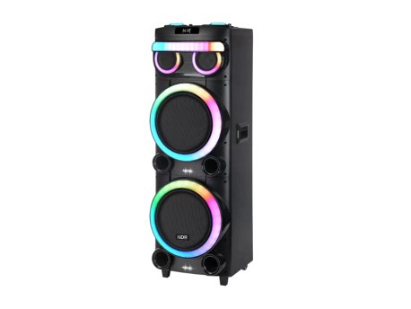 N/A Zvucnik Bluetooth NDR-21280 100W 2*12 inca sa dva mikrofona crni