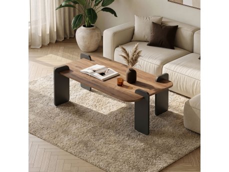 HANAH HOME Sto za dnevnu sobu Renard Atlantic Pine Anthracite