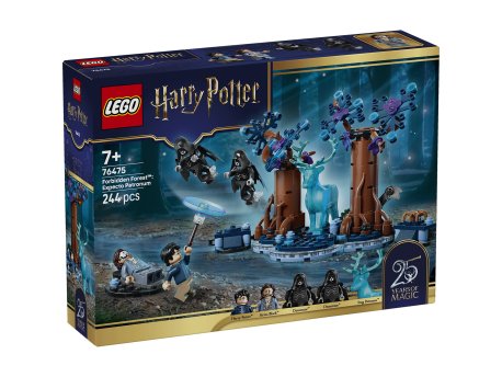LEGO 76475 Zabranjena šuma: Ekspekto patronum