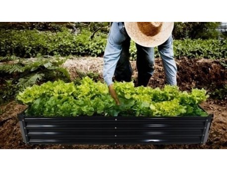 CHOMIK Baštenski plastenik tunel 2-segmetni Zeleni 2 x 2 x 2 M