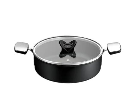 TEFAL Šerpa sa poklopcem 24cm G3307053