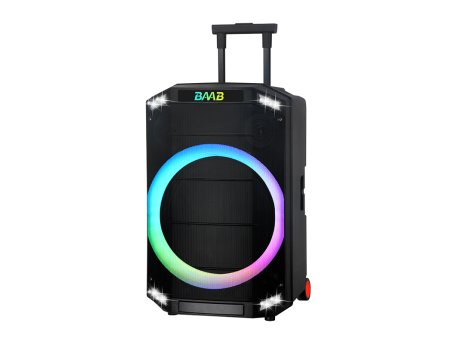 MS MOBILE NDR-B12-01 60W Bluetooth zvučnik sa dva mikrofona crni