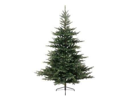 Everlands Grandis Fir 240cm novogodišnja jelka (68.1453)