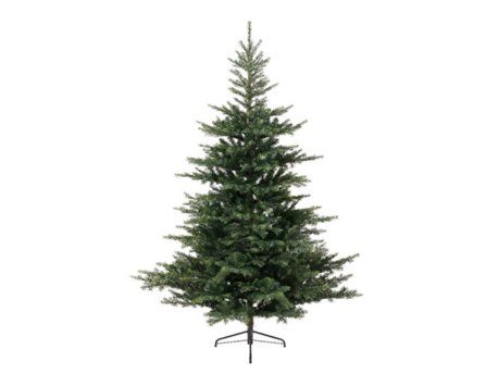 Everlands Grandis Fir 210cm novogodišnja jelka (68.1452)