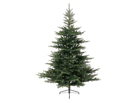 Everlands Grandis Fir 180cm novogodišnja jelka (68.1451)