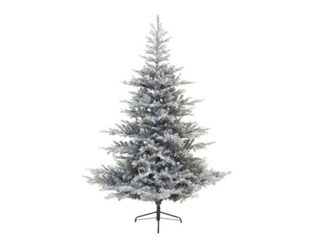 Everlands Grandis Fir Frosted180cm novogodišnja jelka (68.1471)
