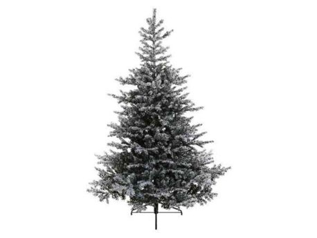 Everlands Grandis Fir Snowy 180cm novogodišnja jelka (68.9761)