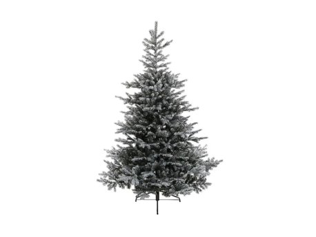 Everlands Grandis Fir Snowy 150cm novogodišnja jelka (68.9760)