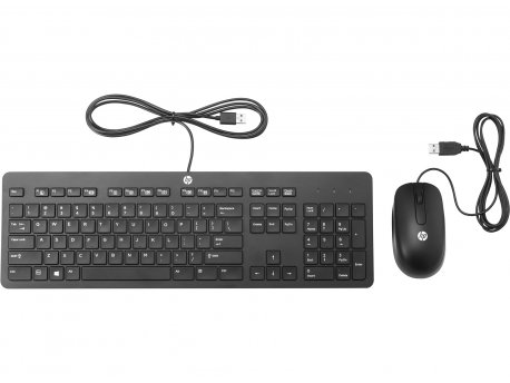 HP Slim USB Keyboard and Mouse (T6T83AA)