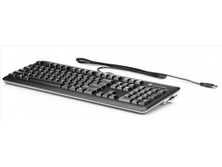 HP USB SmartCard CCID Keyboard (E6D77AAR)