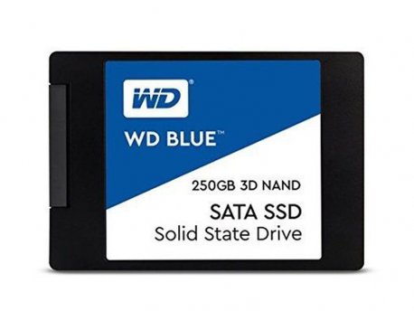 WESTERN DIGITAL SSD 250GB WD Blue 3D NAND SATA 2.5 (WDS250G2B0A)