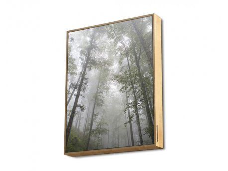 ENERGY SISTEM Frame Speaker Forest zvučnik