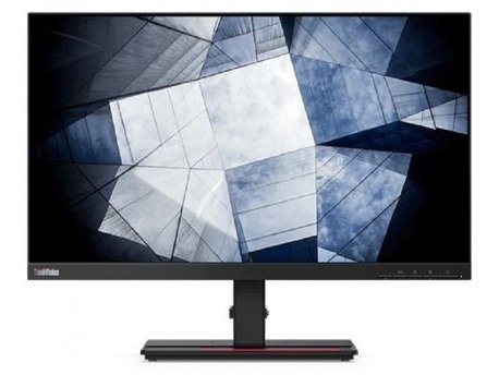 LENOVO ThinkVision P24h-20 (61F4GAT1EU)