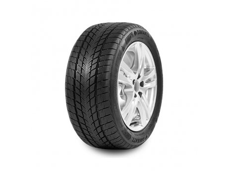 DAVANTI 205/55 R16 Wintoura 91T