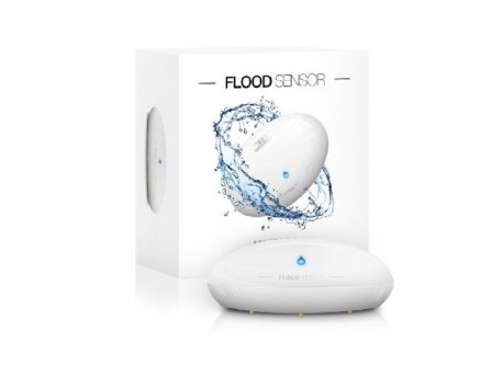 Fibaro FGFS-101