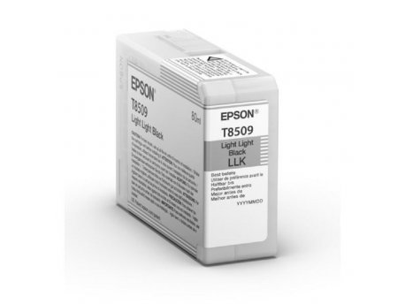 EPSON T850900 Light Light Black Ink Cartridge