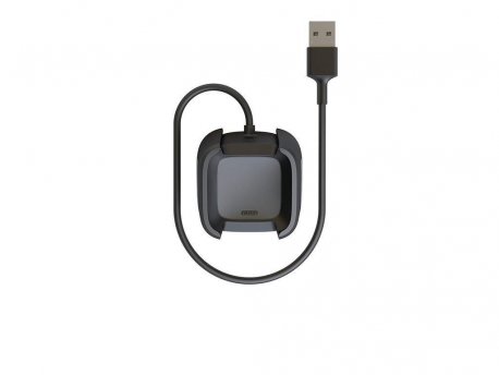 FitBit FB166RCC