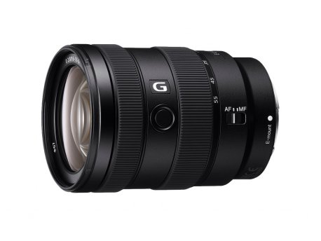 SONY SEL 16-55mm F2.8 G (crop)