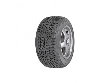 Sava 205/55 R16 Eskimo S3+ 91T