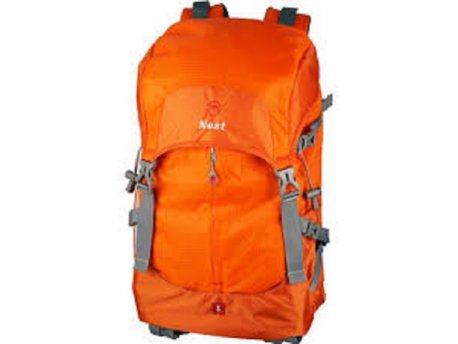NEST NT-EX300L narandzasta