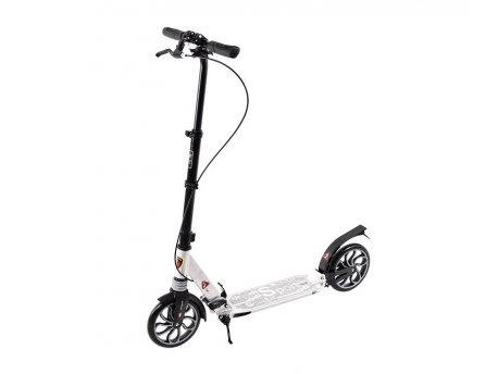 CAPRIOLO 002D1A  TROTINET-ROMOBIL SA KOCNICOM