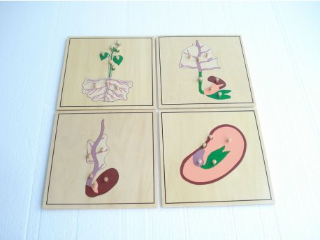 MONTESORI Botaničke puzzle