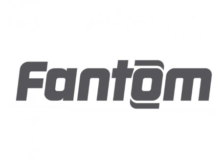FANTOM Kesa za usisivač DC 3000