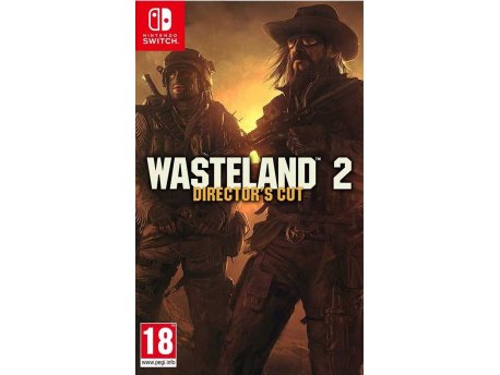 INXILE ENTERTAINMENT Switch Wasteland 2: Director's Cut