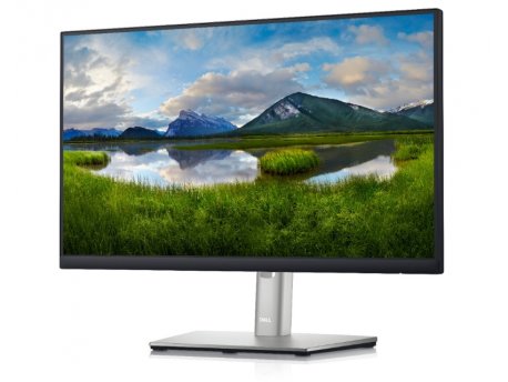 DELL 21.5 P2222H Professional IPS monitor