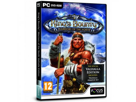 1C COMPANY PC King's Bounty: Warriors Of The North