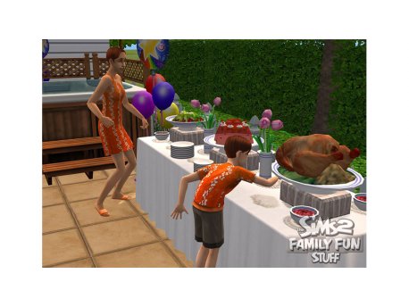 ELECTRONIC ARTS The Sims 2 Family Fun Stuf