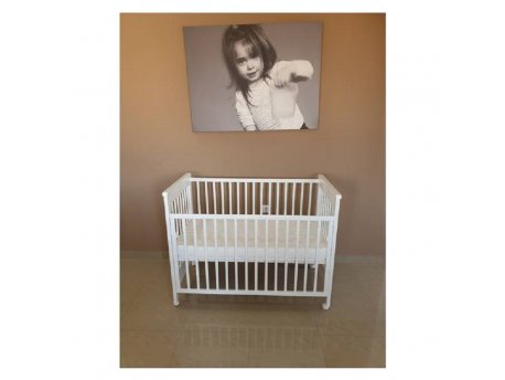 BAMBINO 629 MIA