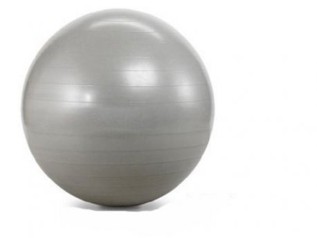 CAPRIOLO Pilates lopta 65cm siva 291358-S