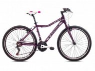 CAPRIOLO Mtb Attack Lady ljubičasto-belo 2019 l26''/18al 919565-17