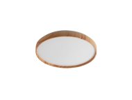 RABALUX Leana2 71144 LED plafonjera