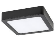 RABALUX Shaun2 71202 LED plafonjera