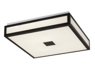 RABALUX Zoya 75033 LED plafonjera