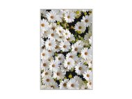 CONCEPTUM HYPNOSE Tepih (80 x 120) HMNT521