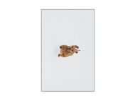 CONCEPTUM HYPNOSE Tepih (50 x 80) WOOKECE086