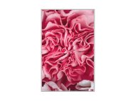 Conceptum Hypnose Tepih (60 x 100) WOOKECE085