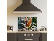 WALLXPERT Dekorativna slika 1152 (50 x 70)