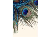 CONCEPTUM HYPNOSE Multicolor tepih Hmnt 568 120 x 180 (476HFT2065)