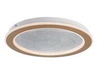 RABALUX Efrael 71281 LED plafonjera