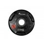 CAPRIOLO Teg čelični 2.5kg dia 30mm ht gumirani 291441 - slika 1